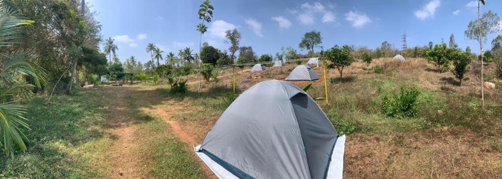 Wilderness Jungle Camp Hotel Malavalli ภายนอก รูปภาพ