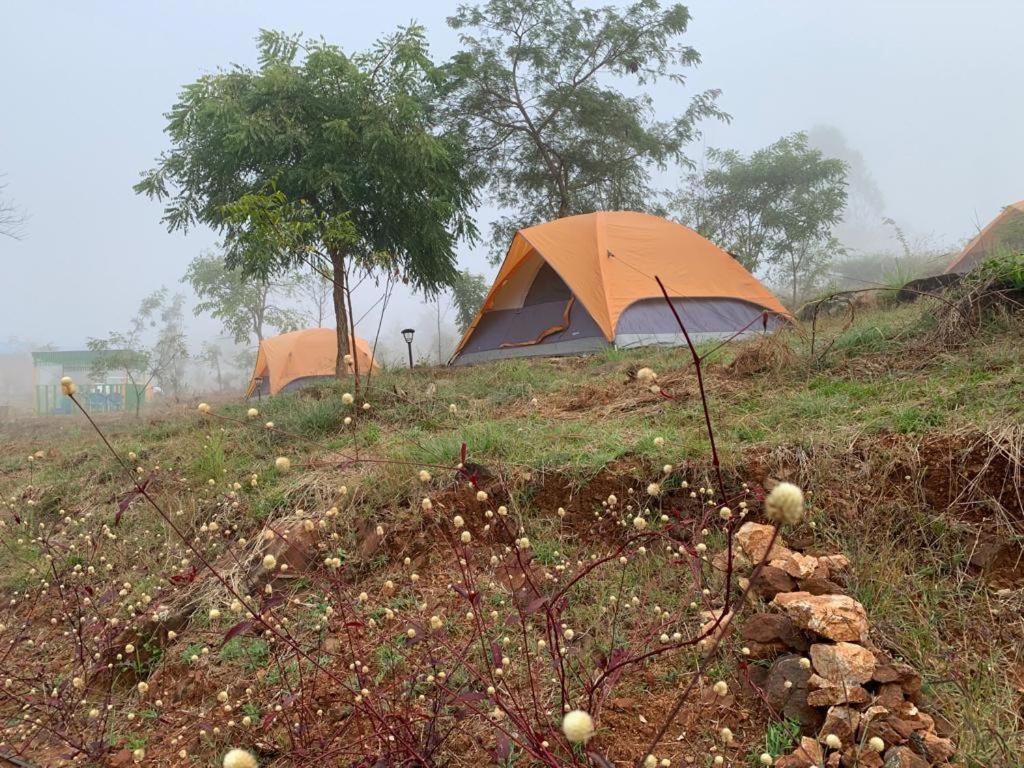 Wilderness Jungle Camp Hotel Malavalli ภายนอก รูปภาพ