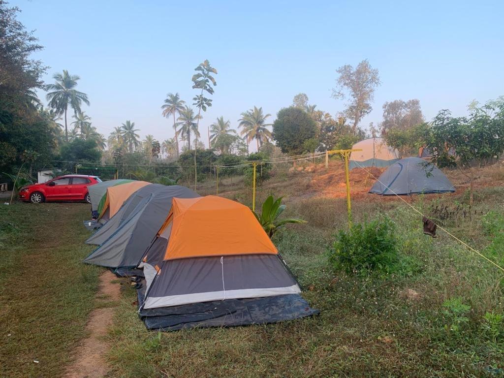 Wilderness Jungle Camp Hotel Malavalli ภายนอก รูปภาพ