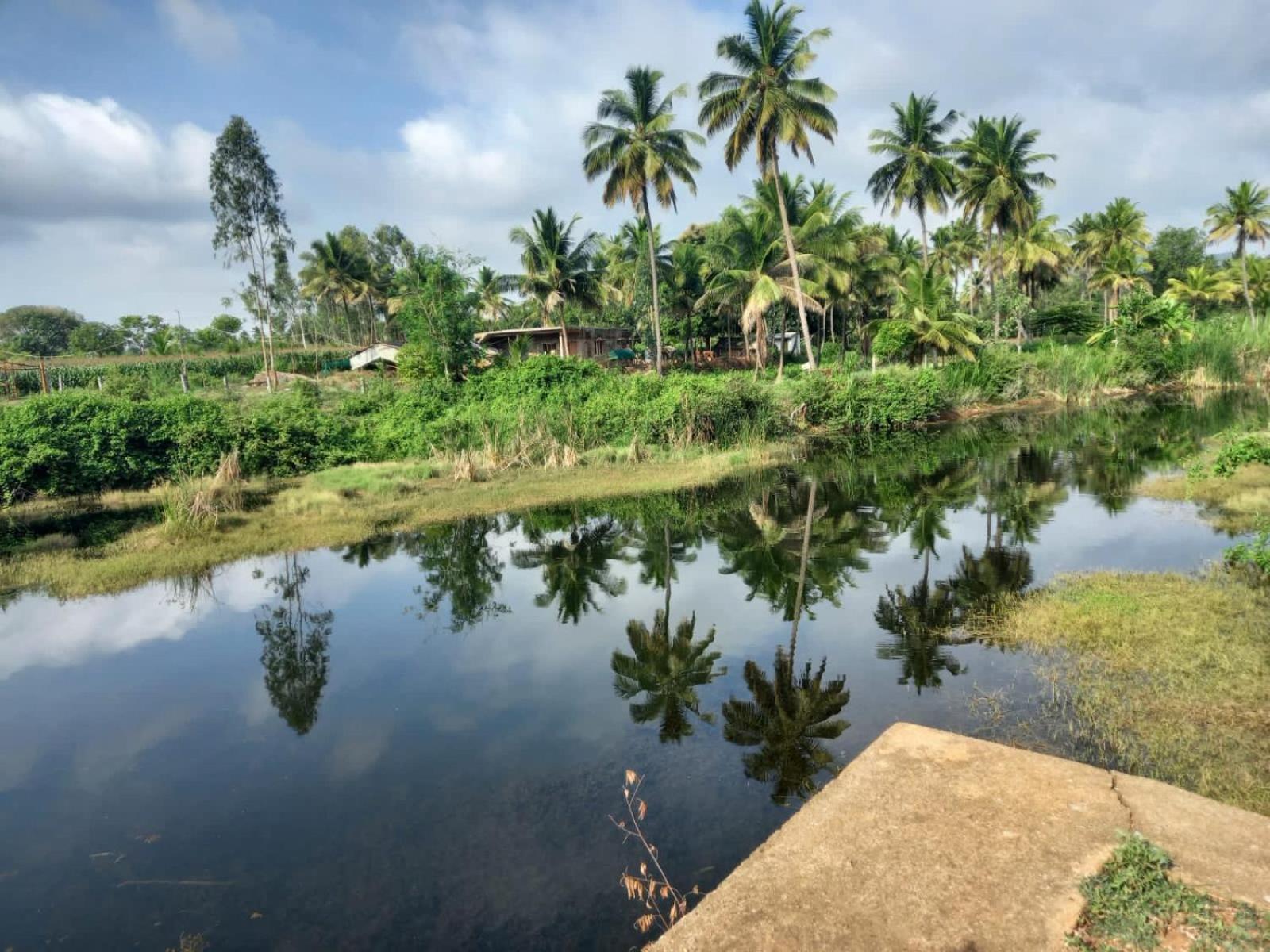 Wilderness Jungle Camp Hotel Malavalli ภายนอก รูปภาพ