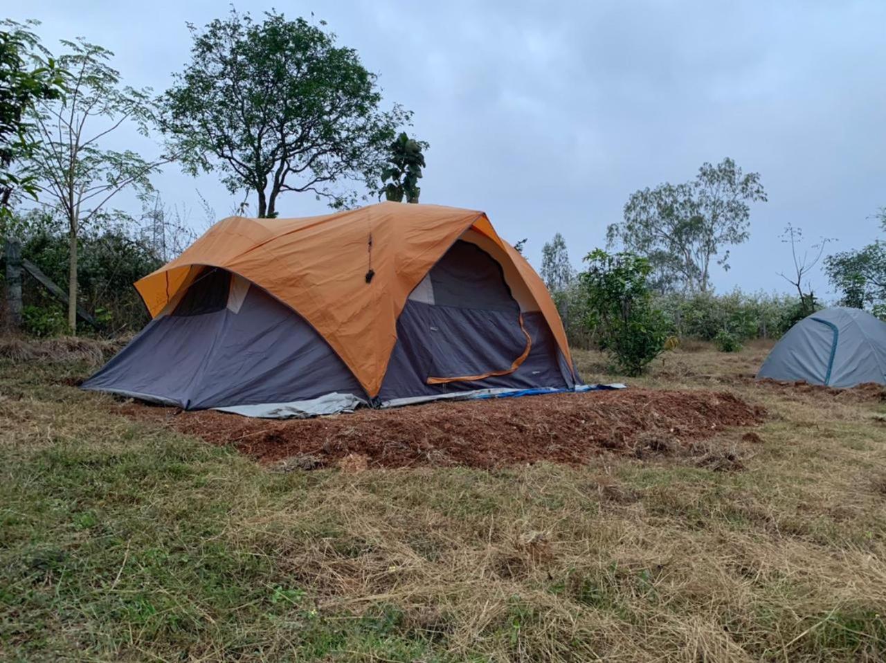 Wilderness Jungle Camp Hotel Malavalli ภายนอก รูปภาพ